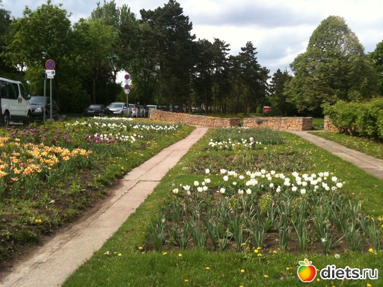 28 ����: �����  ���� � ����