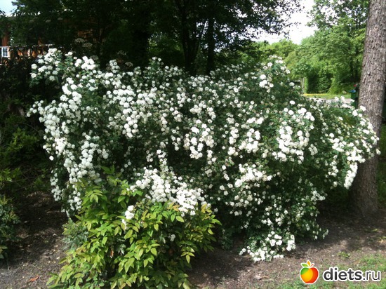 30 ����: �����  ���� � ����