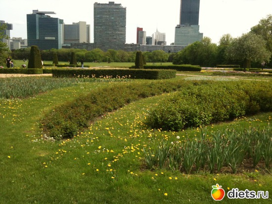 31 ����: �����  ���� � ����