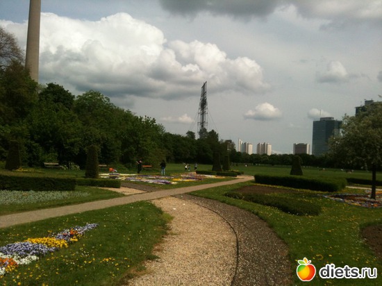 33 ����: �����  ���� � ����