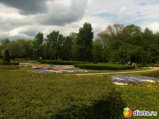 35 ����: �����  ���� � ����