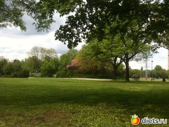 37 ����: �����  ���� � ����