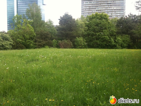 38 ����: �����  ���� � ����