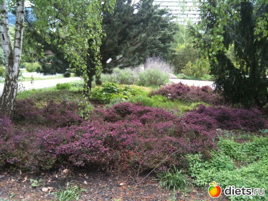 39 ����: �����  ���� � ����