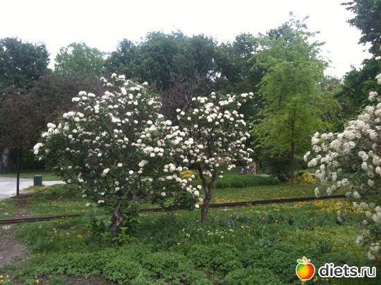 41 ����: �����  ���� � ����