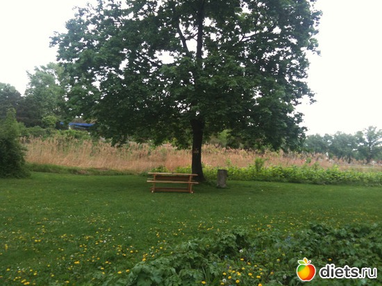 42 ����: �����  ���� � ����