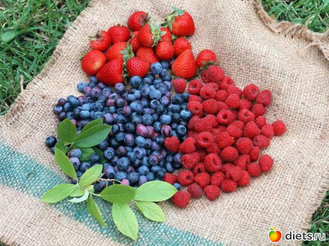 8 ����: berries �
