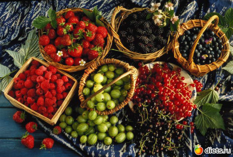 16 фото: berries •