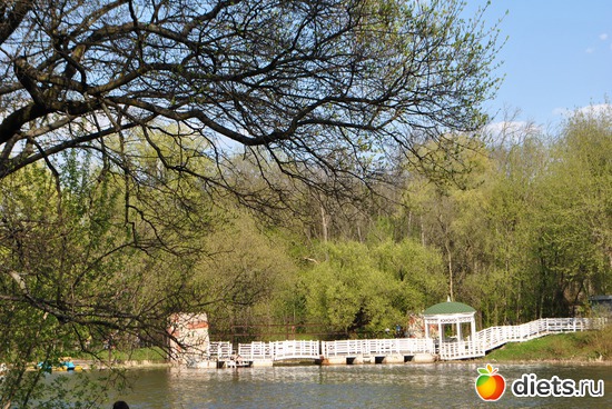 12 фото: Встреча с девочками сайта 10.05