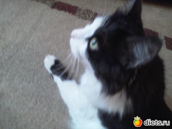 ������ � ������, �������� ����������, ������: ����� ������