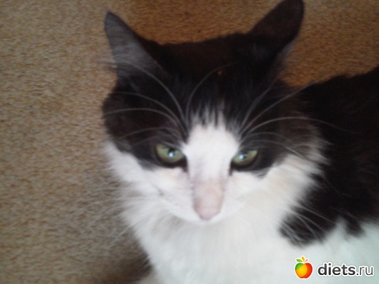 ��������� ��������� "���������" ���� � ����, ������: ����� ������