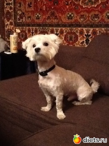 ������� ������, ������: �������� ����� �������