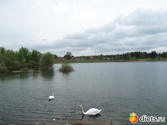 1 ����: ������ �� ������� 11.05.2013.