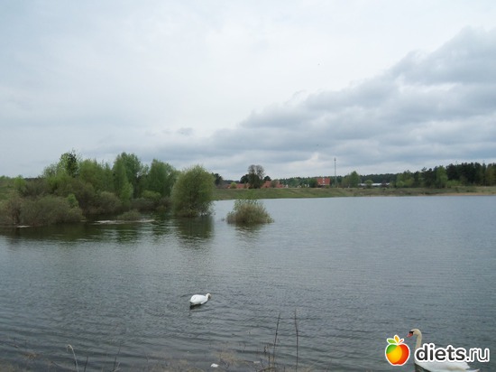 3 ����: ������ �� ������� 11.05.2013.