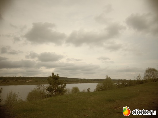 8 ����: ������ �� ������� 11.05.2013.