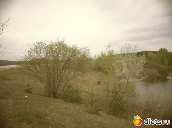 14 ����: ������ �� ������� 11.05.2013.