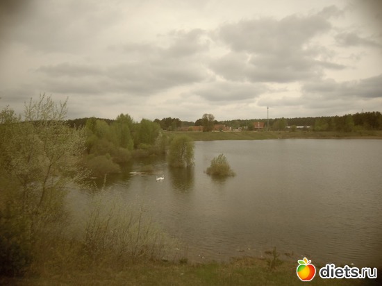 15 ����: ������ �� ������� 11.05.2013.