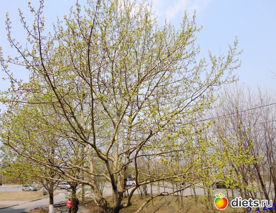 1 ����: ����� � ����-�������� ����!