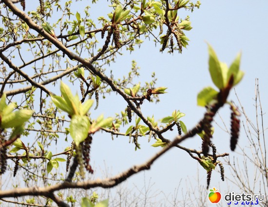 2 ����: ����� � ����-�������� ����!