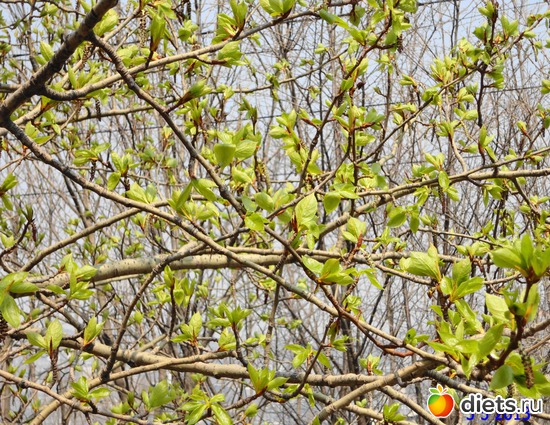 3 ����: ����� � ����-�������� ����!