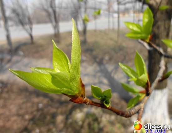 4 ����: ����� � ����-�������� ����!