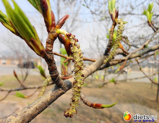 5 ����: ����� � ����-�������� ����!