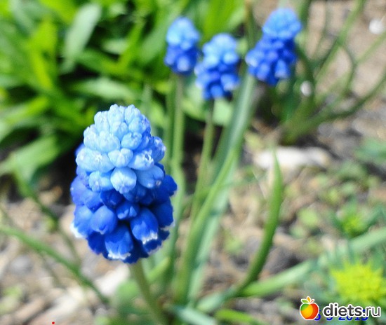 6 ����: ����� � ����-�������� ����!