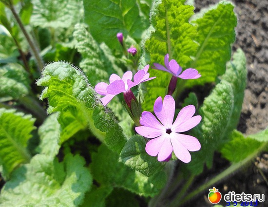 7 ����: ����� � ����-�������� ����!