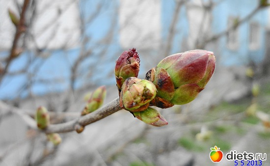 8 ����: ����� � ����-�������� ����!