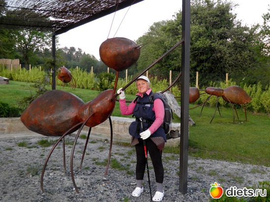 вот такие мурашики нас встретили в Галиции, альбом: Camina de Santiago 2012