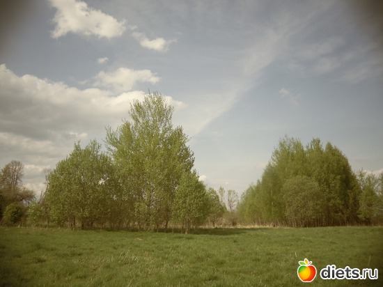 5 ����: ������� 12.05.2013.