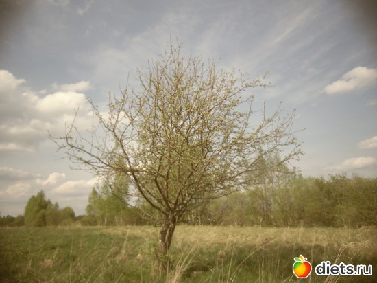 7 ����: ������� 12.05.2013.