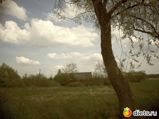 10 ����: ������� 12.05.2013.