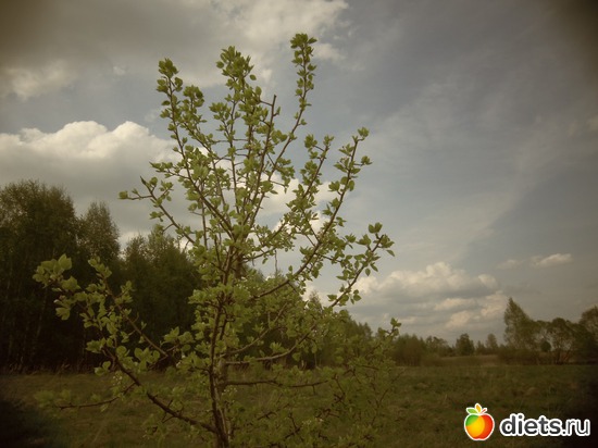 12 ����: ������� 12.05.2013.