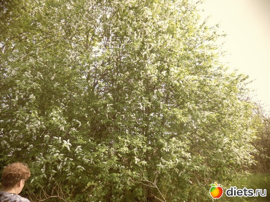 15 ����: ������� 12.05.2013.