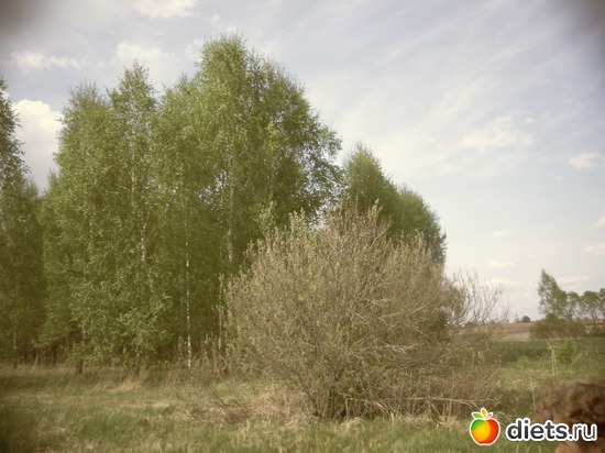 17 ����: ������� 12.05.2013.