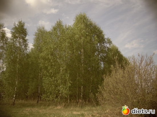 18 ����: ������� 12.05.2013.