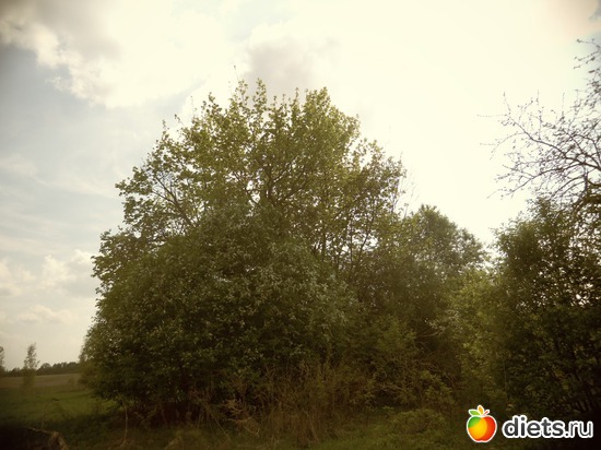 20 ����: ������� 12.05.2013.