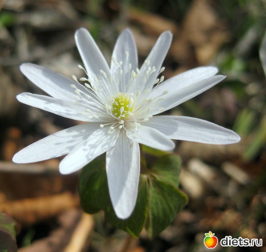 ���������, ������: ����� � ����-�������� ����!