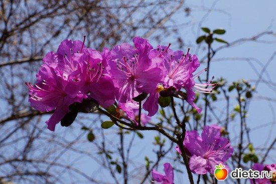 �����������, ������: ����� � ����-�������� ����!