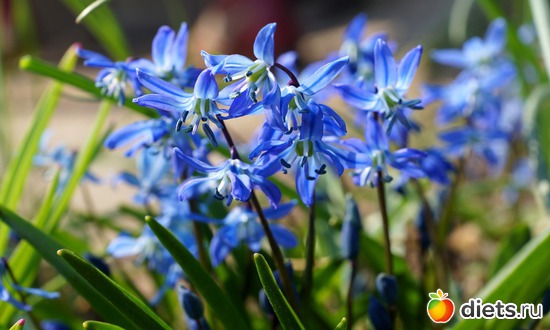 ������, ������: ����� � ����-�������� ����!