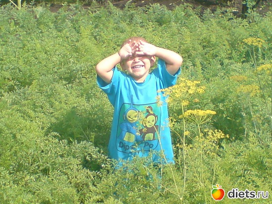 плантация моркови, альбом: Мурва и её семья