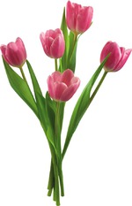 Отчет за 13.05.13 )))) Все хорошо!