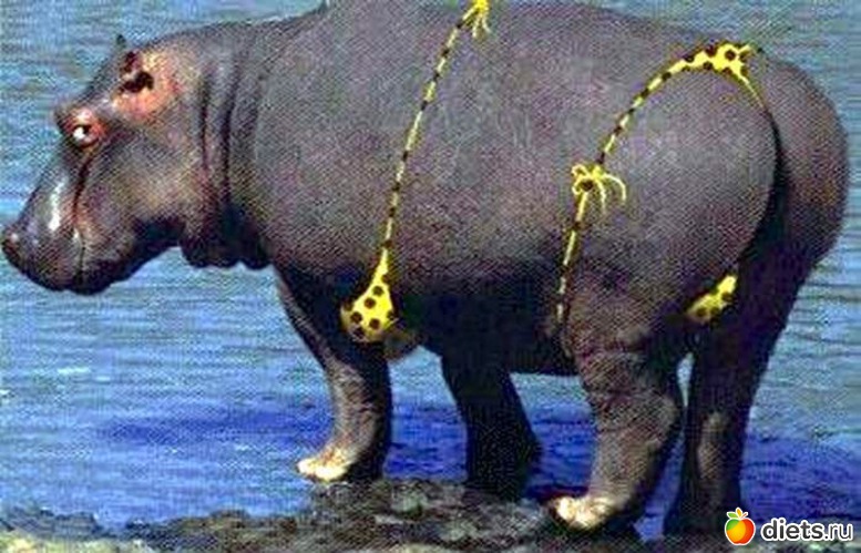 28 фото: картинки