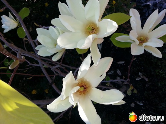 9 ����: �����