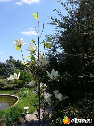 10 ����: �����