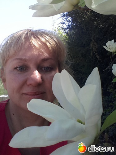 11 ����: �����