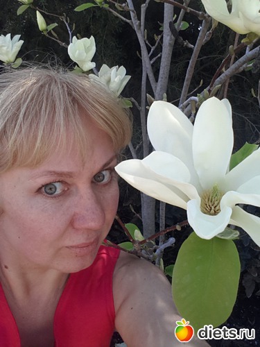 12 ����: �����