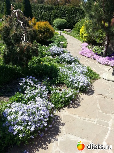 13 ����: �����