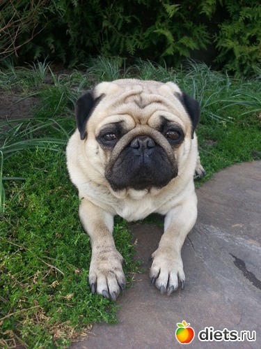 25 ����: ��� ������� �������